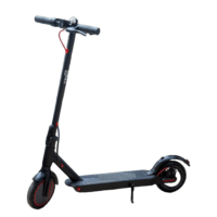 Dinex electricscooter DL-1100